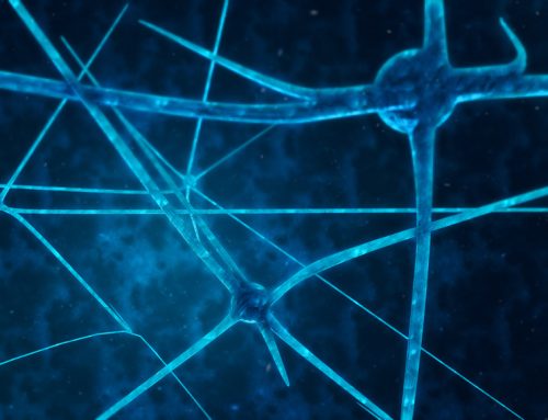 Neurologia