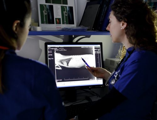 Radiologia