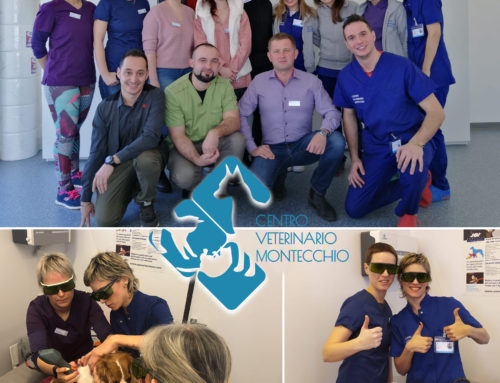 Nuovo incontro con ASAveterinary