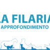 La Filaria
