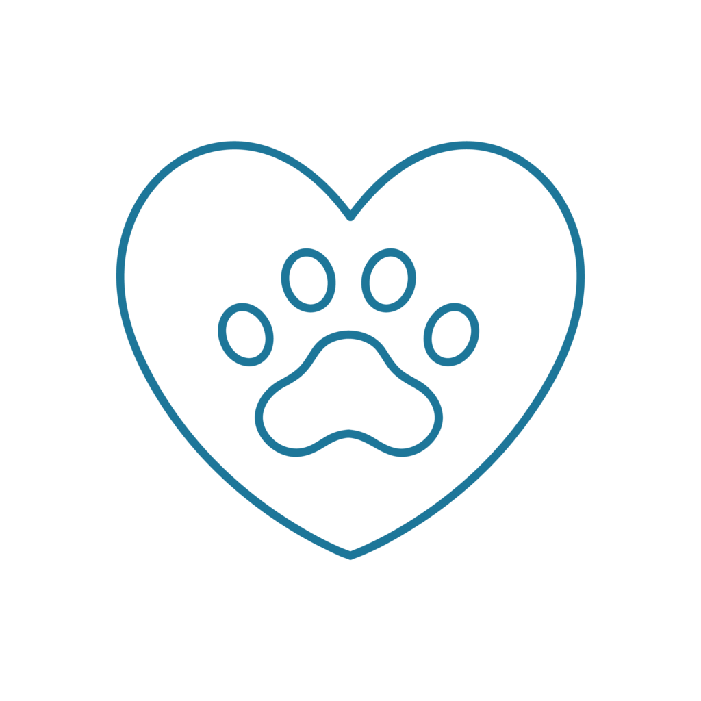 Icona illustrativa del servizio di cardiologia del Centro Veterinario Montecchio