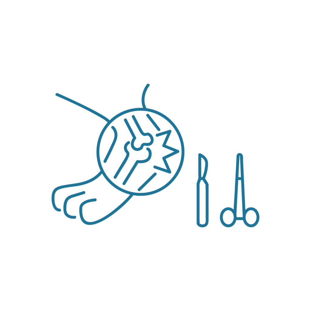 Icona illustrativa del servizio di chirurgia ortopedica del Centro Veterinario Montecchio