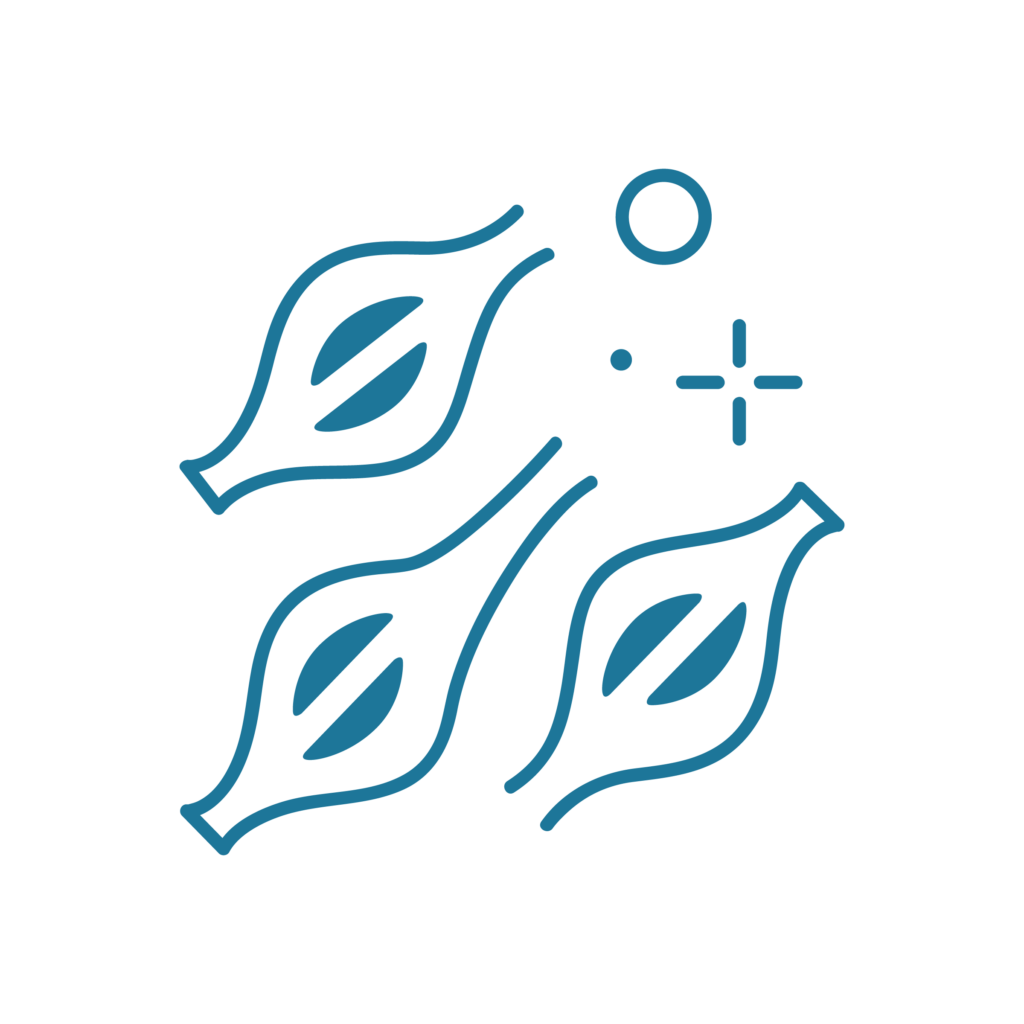 Icona illustrativa del servizio di chirurgia dei tessuti molli del Centro Veterinario Montecchio