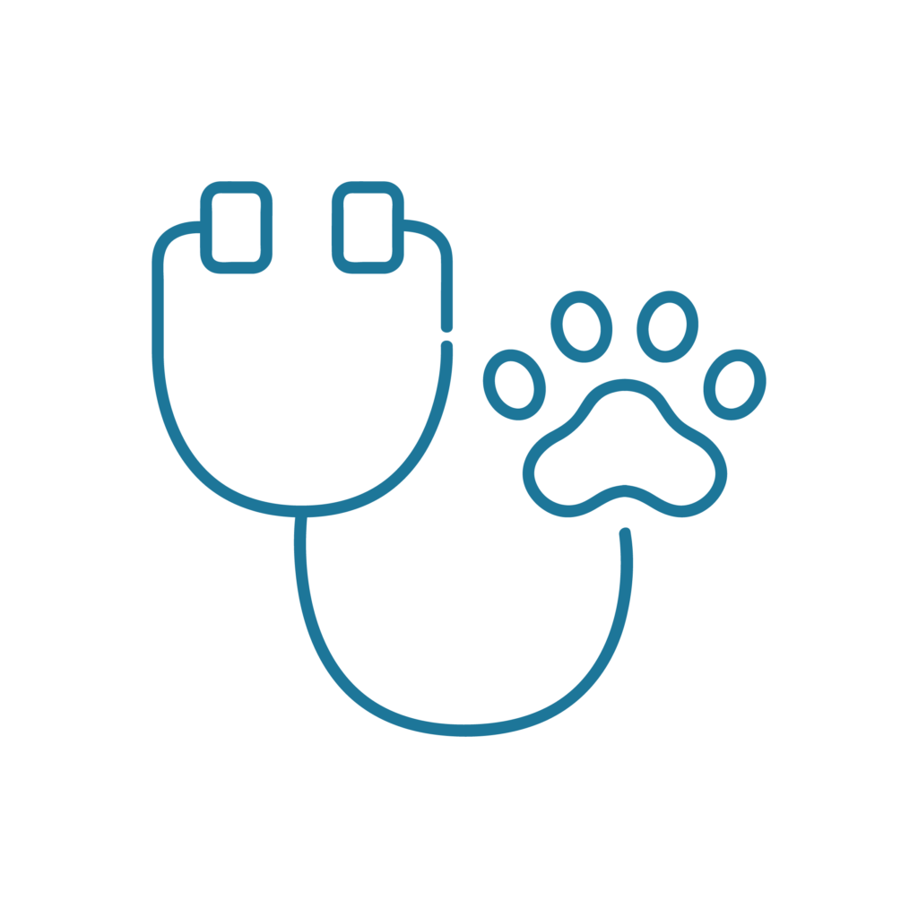 Icona illustrativa del servizio di ecocardiografia del Centro Veterinario Montecchio