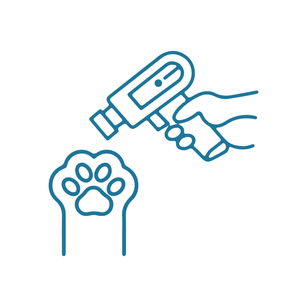 Icona illustrativa del servizio di laser terapia del Centro Veterinario Montecchio