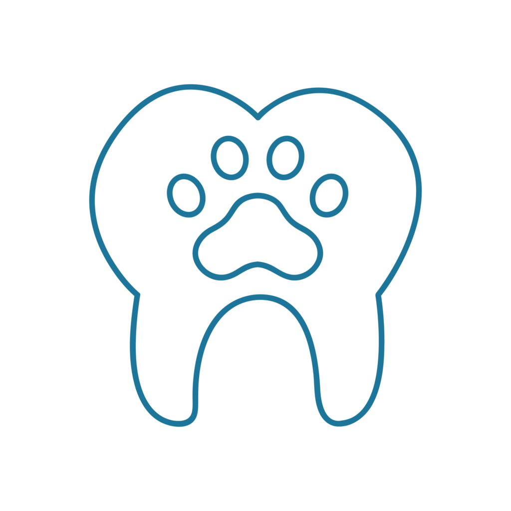 Icona illustrativa del servizio di odontostomatologia del Centro Veterinario Montecchio