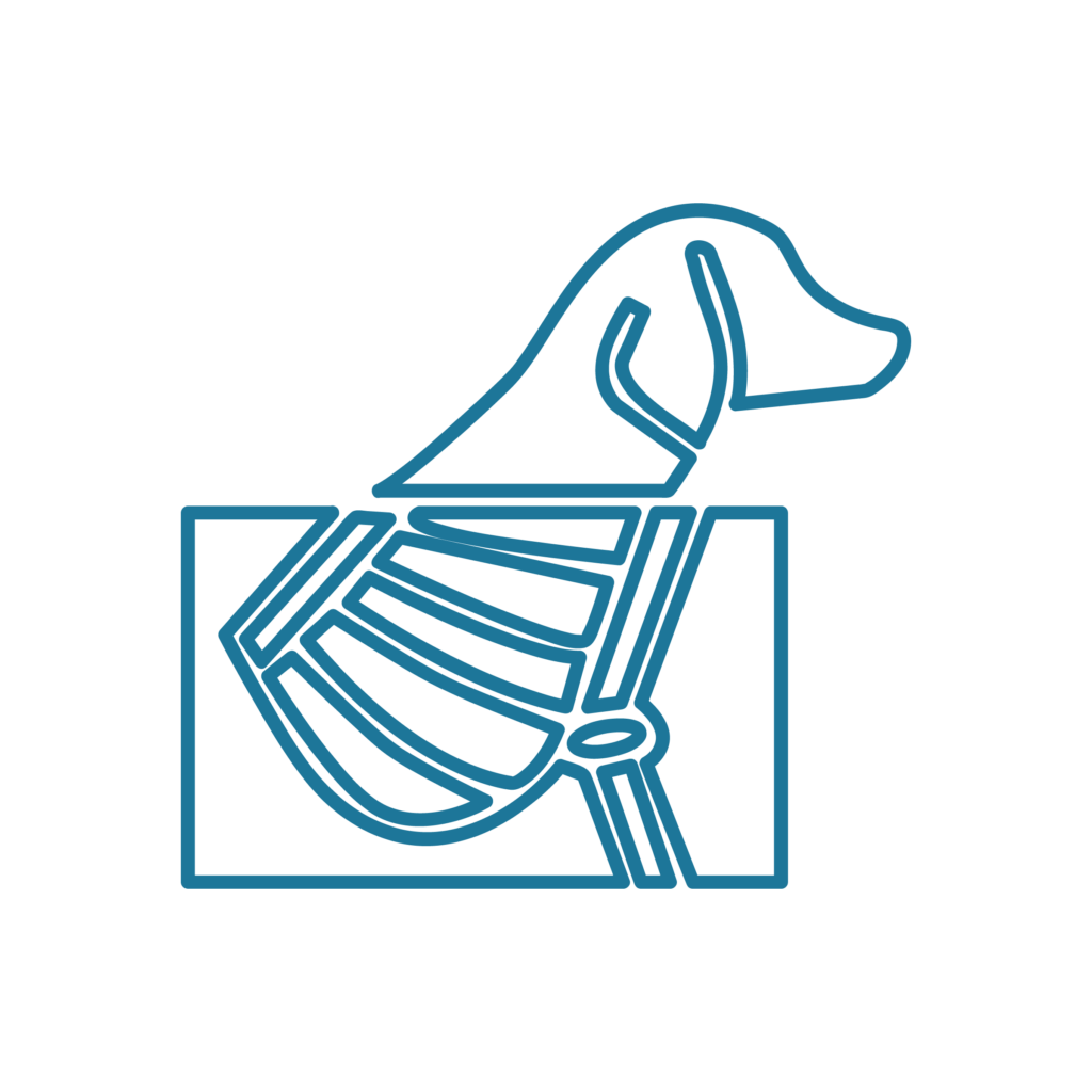 Icona illustrativa del servizio di radiologia del Centro Veterinario Montecchio