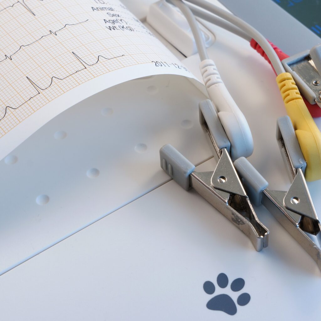 Immagine raffigurativa di un elettrocardiogramma e delle mollette che vengono posizionate sul paziente.