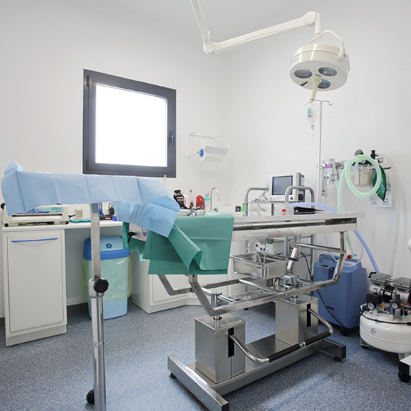 La sala operatoria del Centro Veterinario Montecchio